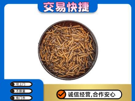 洞头区高价回收散虫草